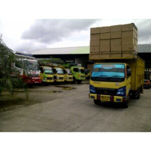 jasa-ekspedisi-mobil-truk (1)
